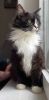 Margo (6)